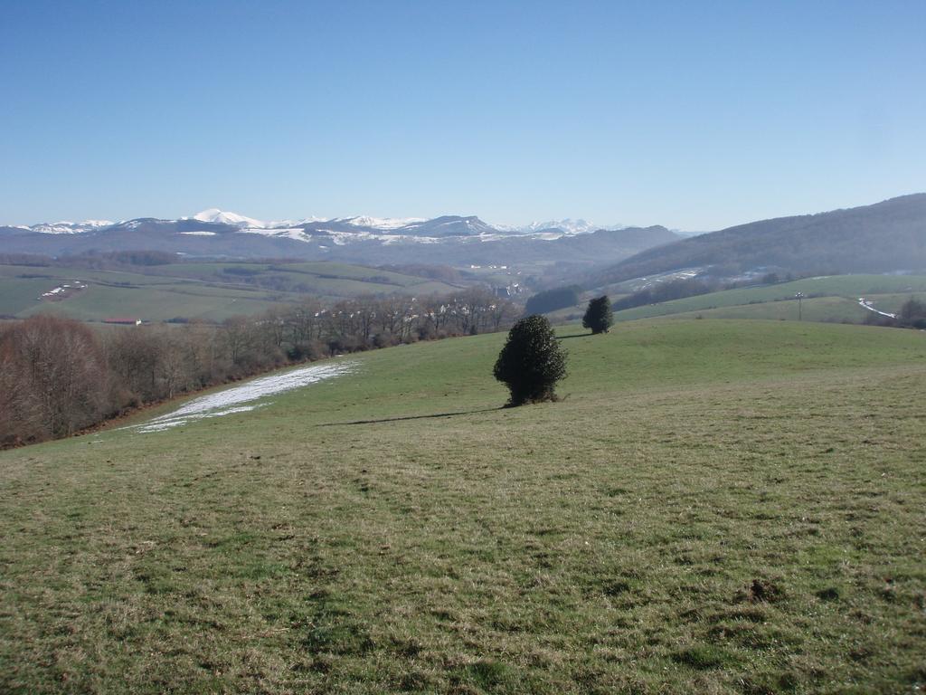 Casa Rural Irugoienea Espinal-Auzperri Zewnętrze zdjęcie